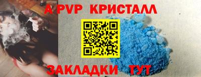 спайс Малгобек
