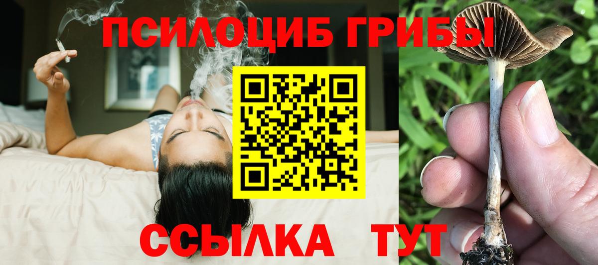 Галлюциногенные грибы Златоуст